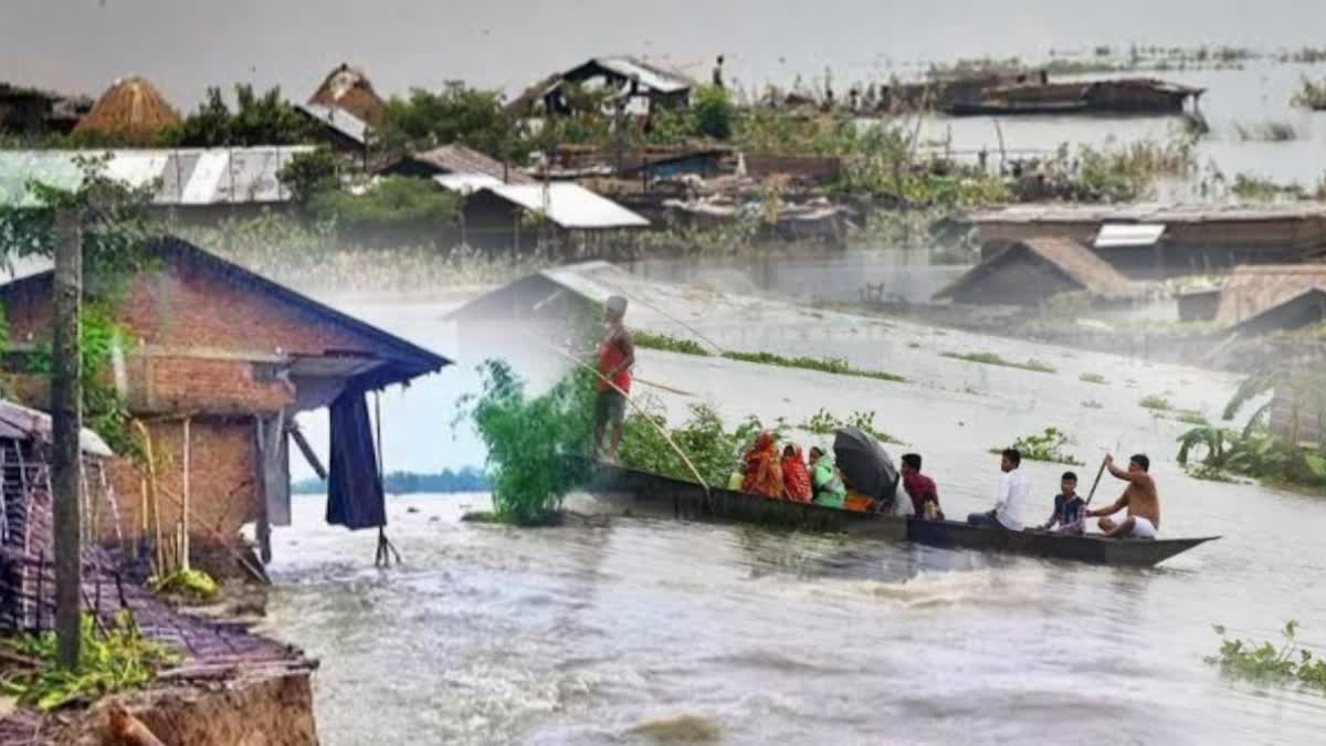 Loss due to flood in Assam