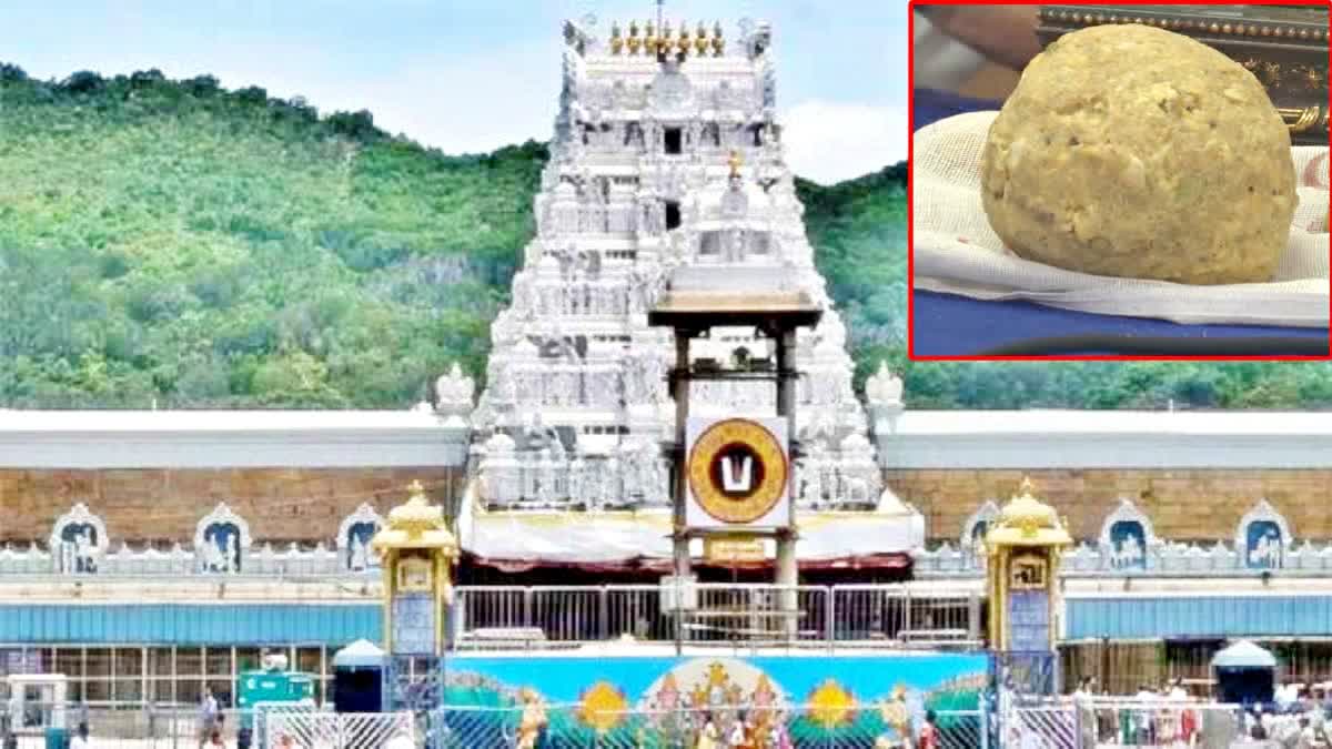 Tirupati Laddu Row