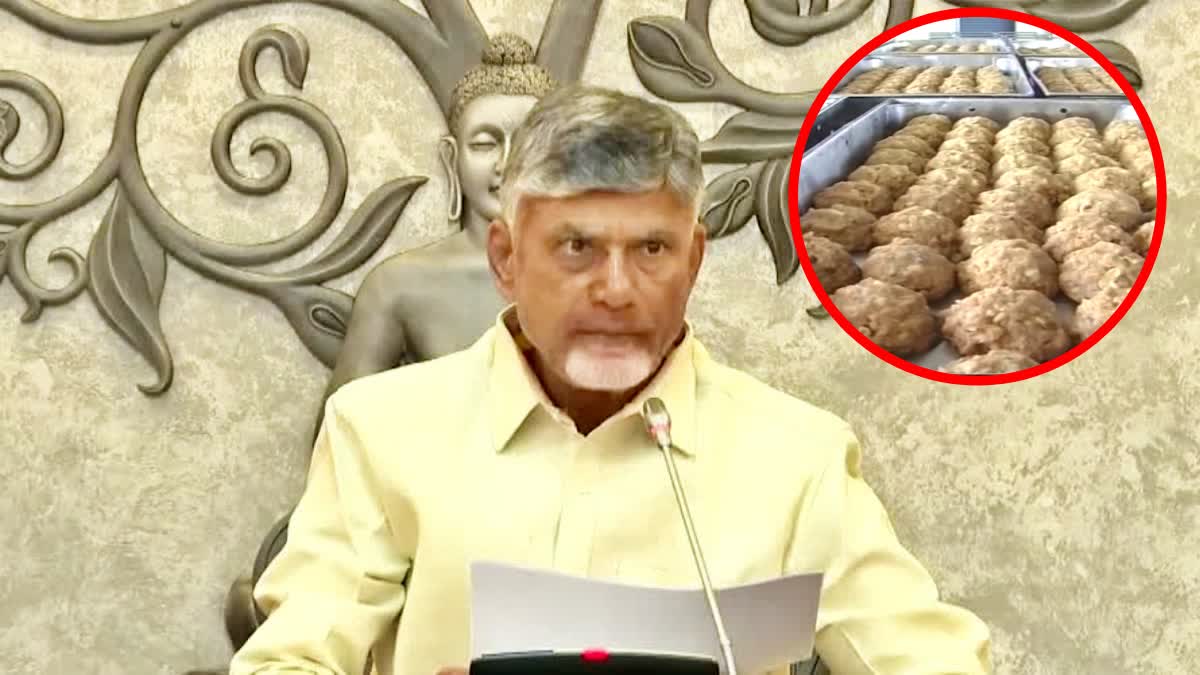 TTD Laddu Issue in AP