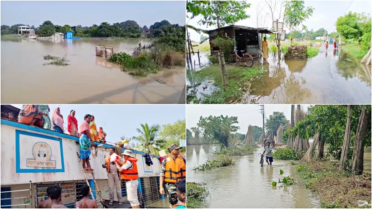 Bengal Flood Situation