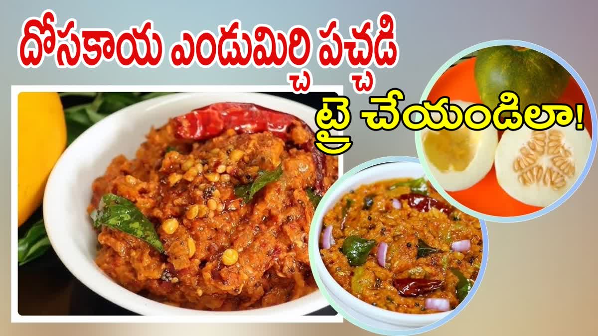 Dosakaya Endu Mirchi Pachadi in Telugu