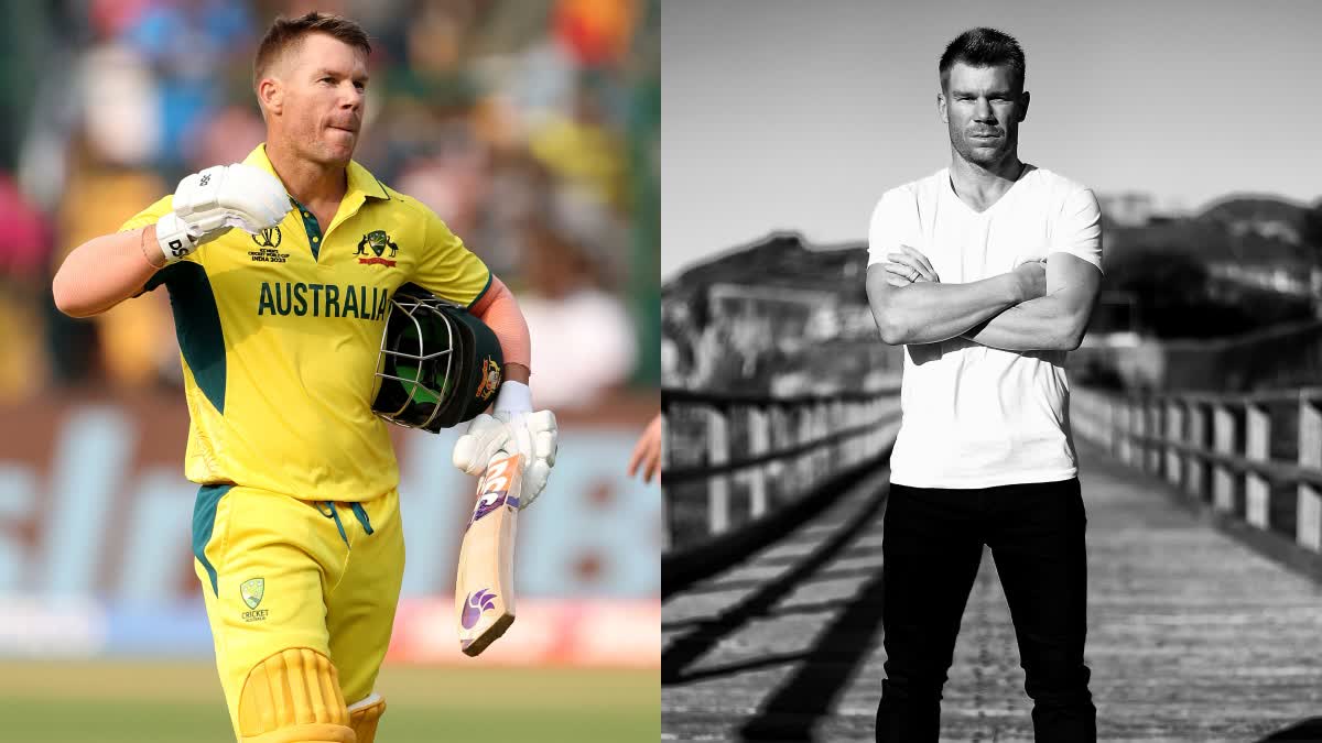 David Warner Pushpa