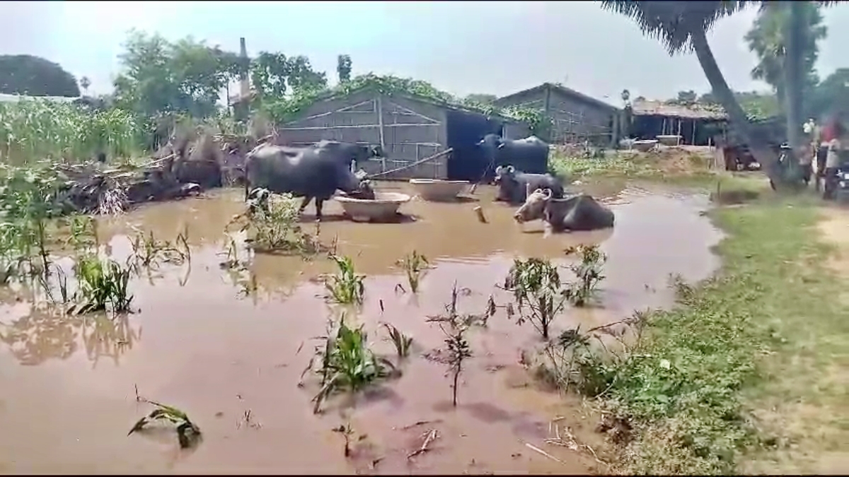 BIHAR FLOOD