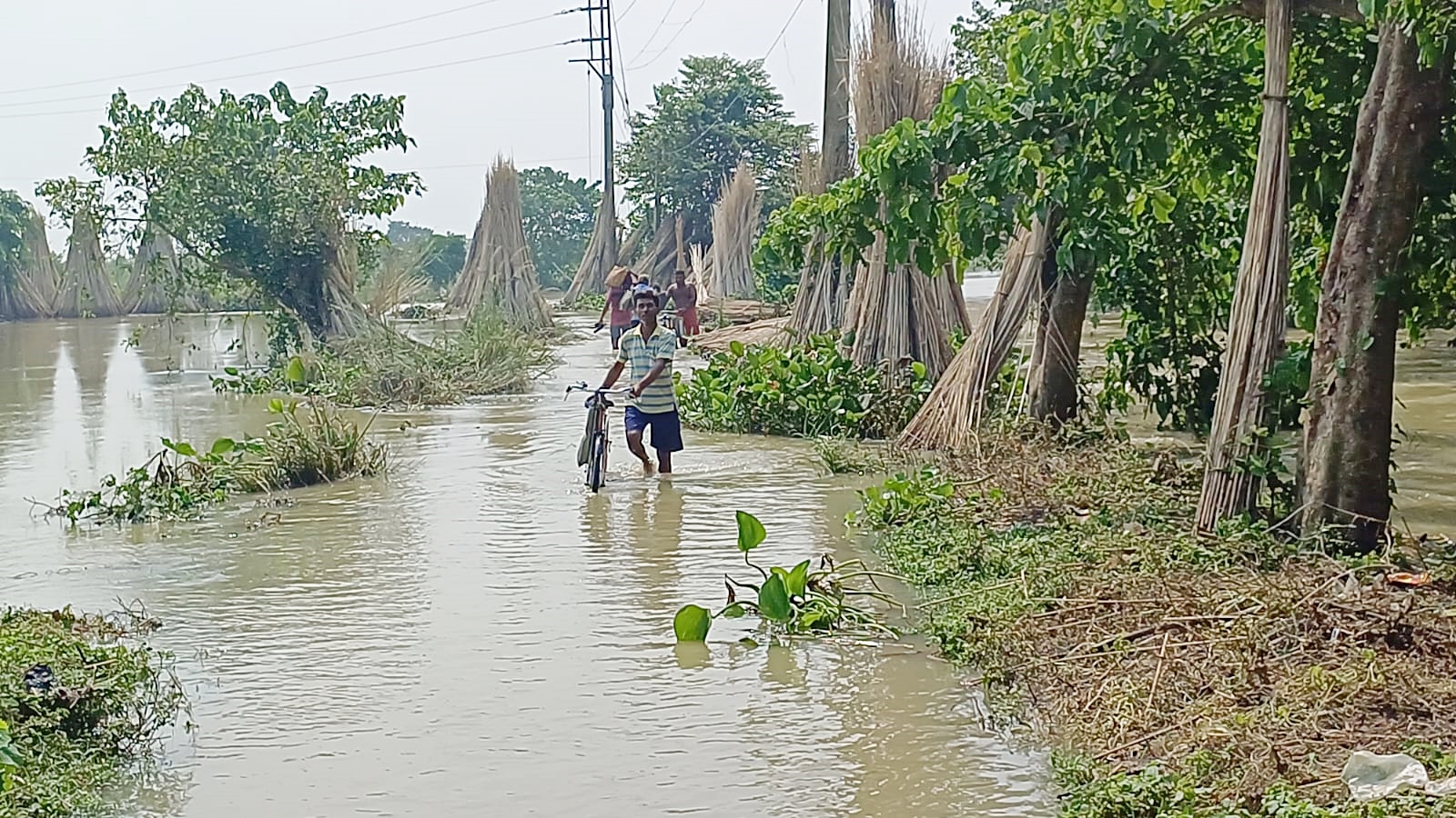 Bengal Flood Situation