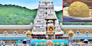 TTD EO Press Meet on Tirumala Laddu Controversy Live