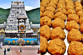 Tirupati Laddu