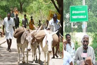 கழுதை மூலம் கட்டுமான பொருட்கள் எடுத்துச் செல்லப்படும் புகைப்படம்