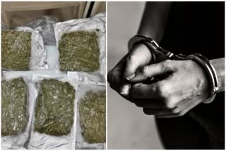 SMUGGLING OF MARIJUANA