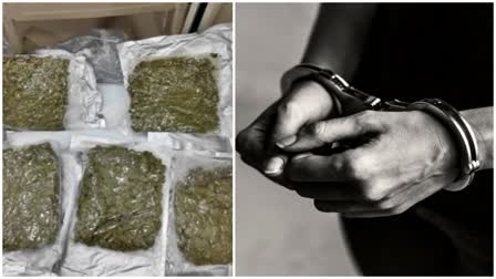 smuggling of marijuana by footballer