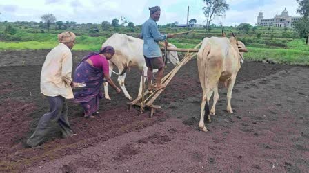 ಬಿತ್ತನೆ ಕಾರ್ಯ