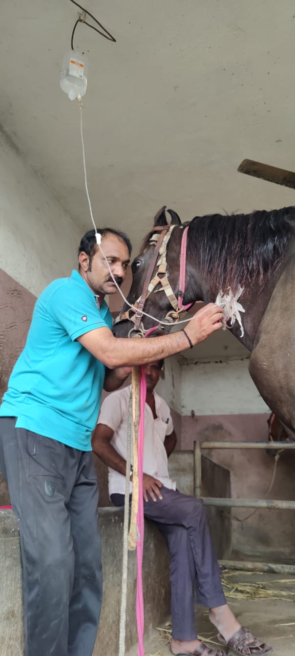 200 થી વધુ બોટલો ચડાવાયા