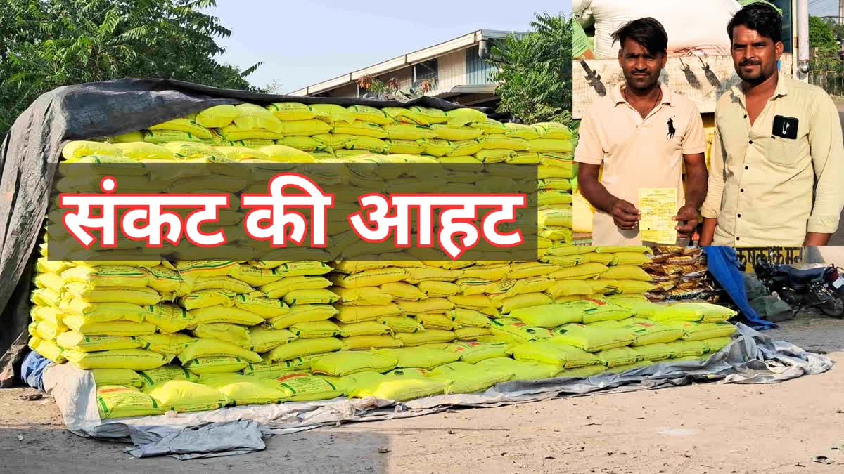 Possibility Of Fertilizer Shortage In Kota