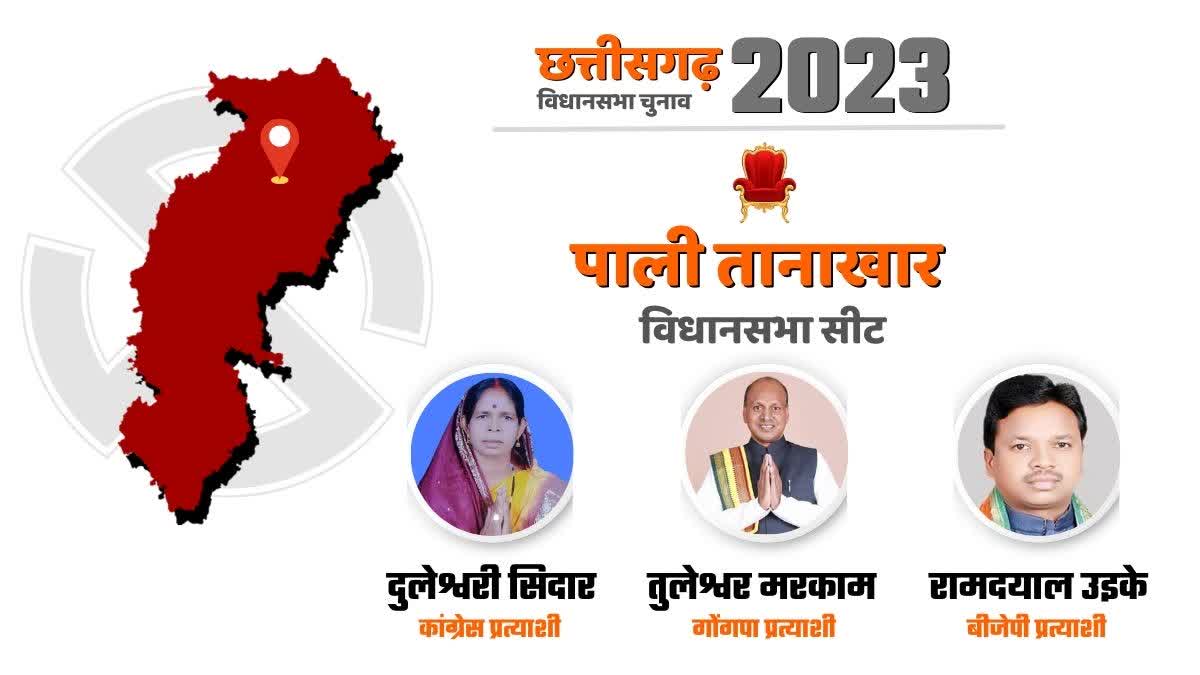 Pali Tanakhar Assembly Election 2023