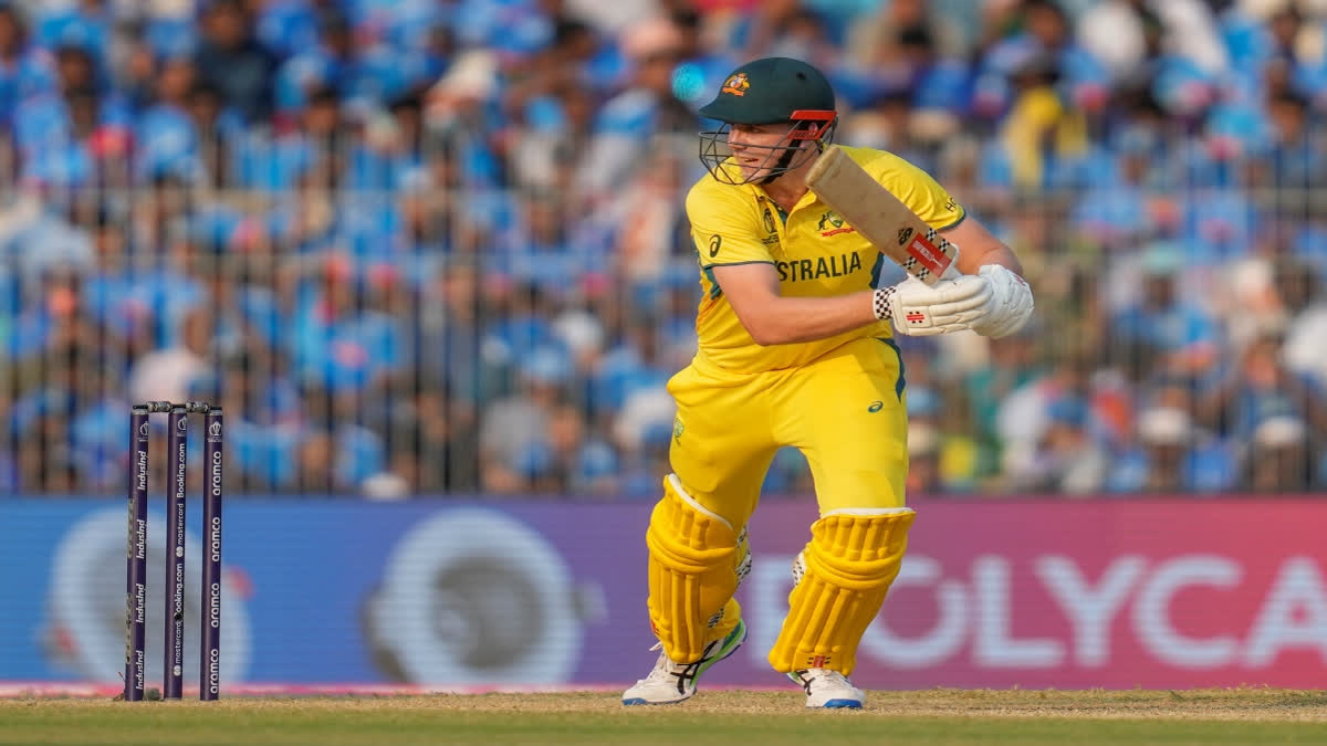 Former Australian opener Matthew Hayden said that all-rounder Cameron Green should open the innings for Australia against Pakistan. Both teams will face each other at  M. Chinnaswamy Stadium in Bengaluru.