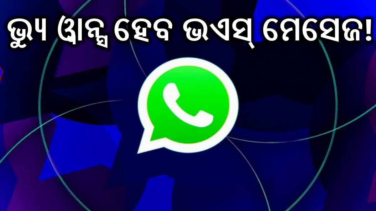 WhatsApp New Feature