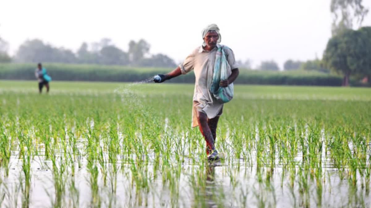 Problems of Farmers in India