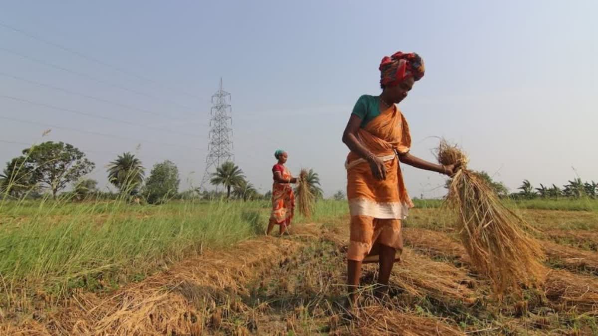 farmers-facings-issues-in-india-Jai kisan