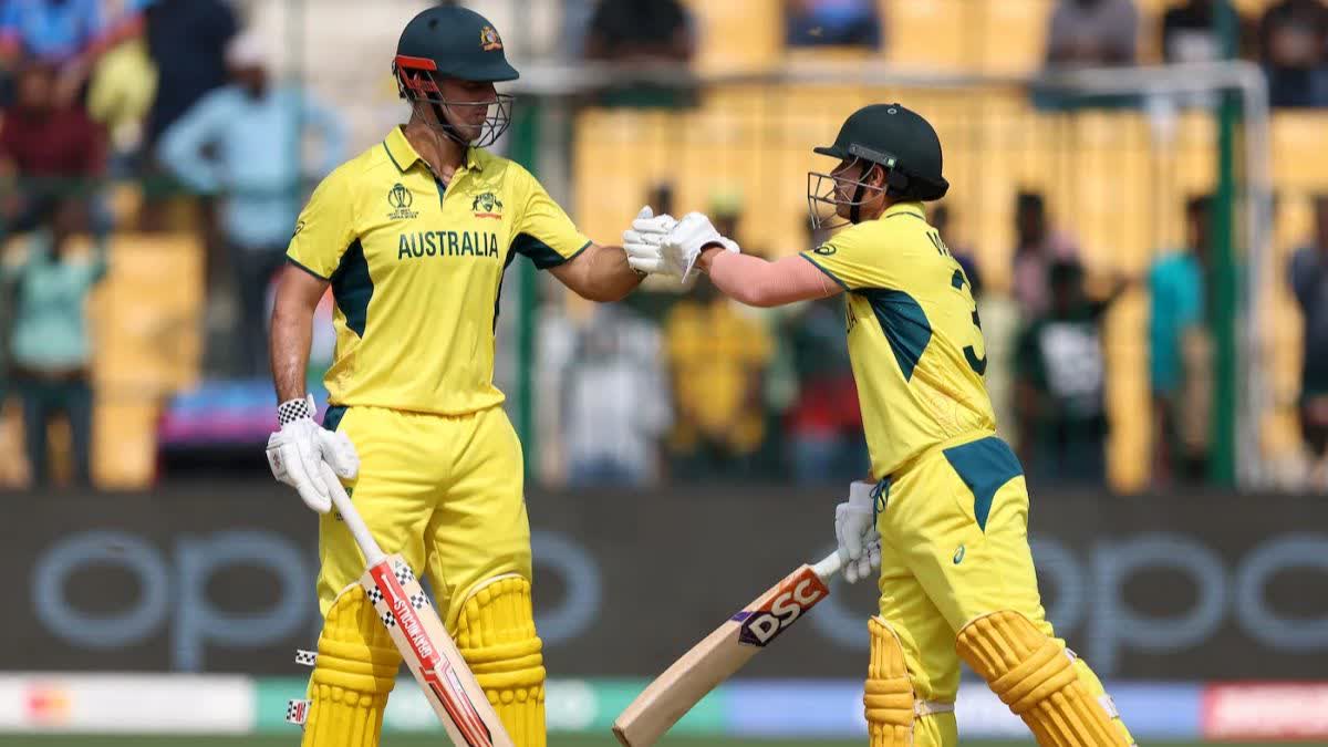 David Warner and Mitchell Marsh