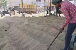 Khanna rice Millers strike: ਖੰਨਾ ਮੰਡੀ 'ਚ ਸ਼ੈਲਰ ਮਾਲਕਾਂ ਦੀ ਹੜਤਾਲ ਖਤਮ, ਆੜ੍ਹਤੀਆਂ, ਕਿਸਾਨਾਂ ਤੇ ਮਜ਼ਦੂਰਾਂ ਨੂੰ ਰਾਹਤ