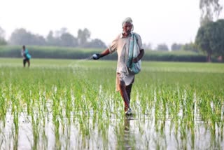 Problems Of Farmers in India