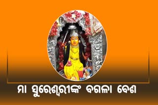 Sasthi Puja Maa Sureswari: ବଗଳା ବେଶରେ ଦର୍ଶନ ଦେଉଛନ୍ତି ଦେବୀ ସୁରେଶ୍ବରୀ