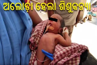 ତିନି ଦିନର ଶିଶୁକନ୍ୟାକୁ ଜଙ୍ଗଲରେ ଫିଙ୍ଗି ଚାଲିଗଲା ମାଆ