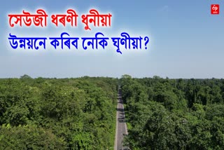 Deforestation at jonai to expand road