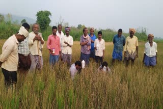 Farmers_Agitation_With_Holding_Pesticide