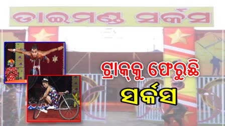 ଅଣ୍ଟା ସଲଖୁଛି ଡାଇମଣ୍ଡ ସର୍କସ ,କଟକଣା ପରେ କଳାକାର ଚିନ୍ତା