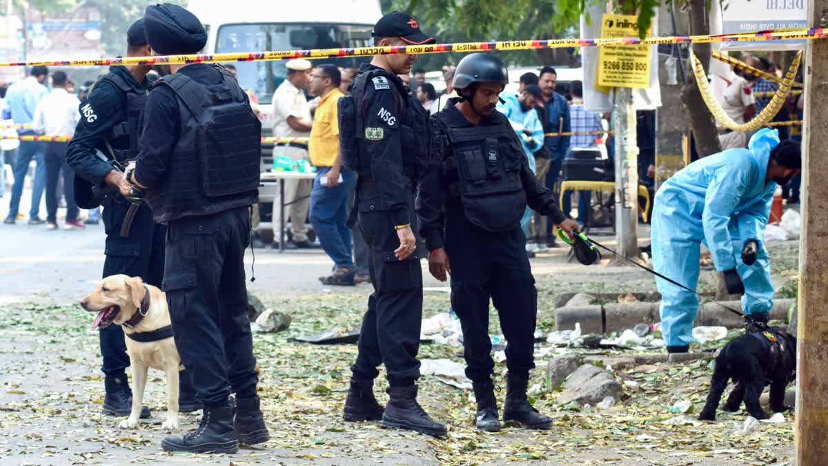 The National Security Guard (NSG) Commandos with sniffer dogs carry out search operations at the blast site near CRPF School in Prashant Vihar, Rohini in New Delhi on Sunday.