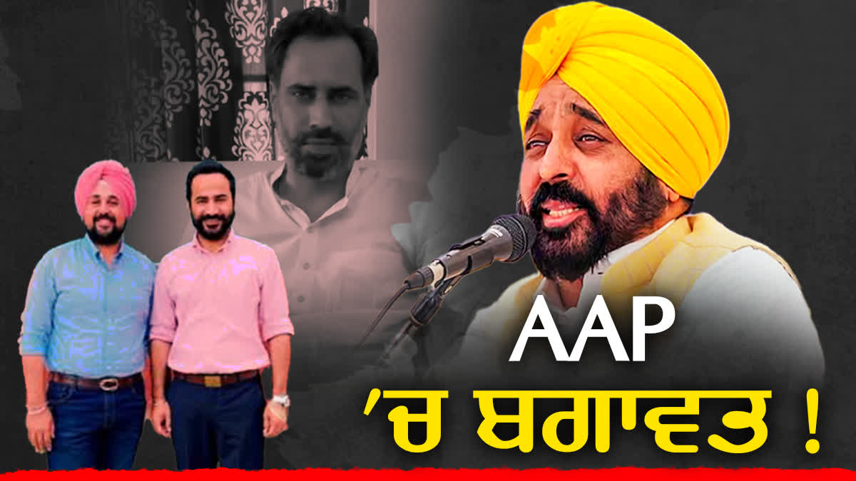 REBELLION IN AAP PARTY