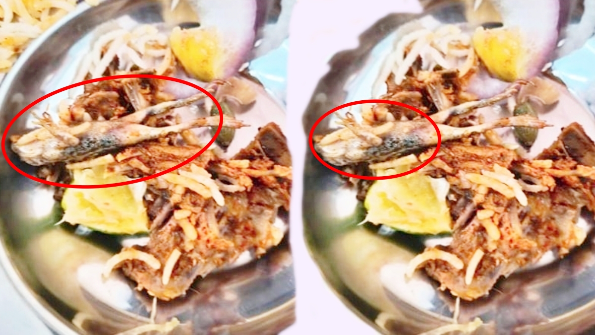 Frog in Chicken Biryani in Hyderabad IIIT Mess