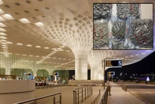 Custom Department seized more than one crore of drugs at Chhatrapati Shivaji Maharaj International Airport Mumbai