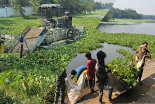 breakdown-bead-harvesting-machine-water-hyacinth-cleaned-lakes-laborers-hazaribag