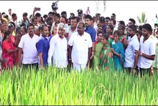 union-minister-h-d-kumaraswamy-visits-the-paddy-field