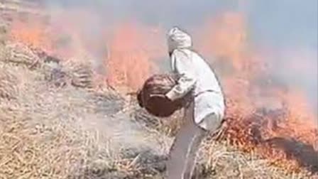 HARYANA STUBBLE BURNING