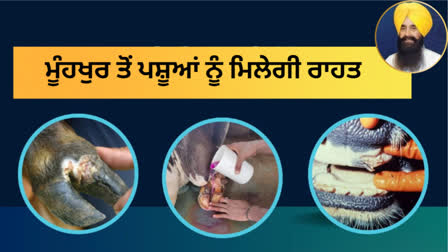 State-wide vaccination drive to prevent foot-and-mouth disease from tomorrow