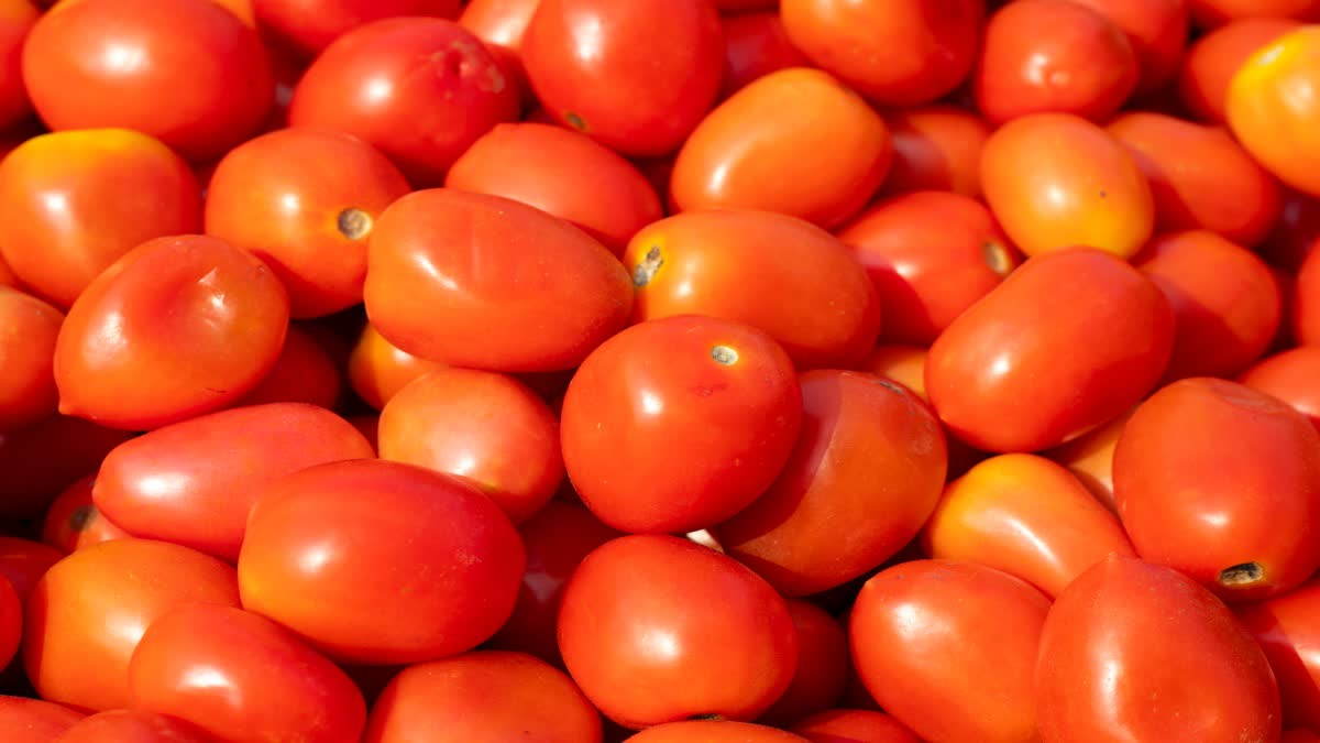 Tomato Benefits