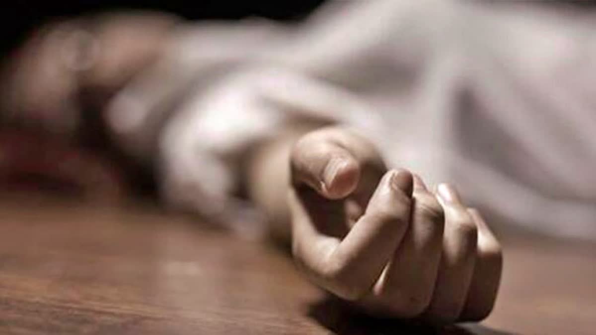 triple murder in rajasthan; man killed wife and two daughters with hammer in jaipur