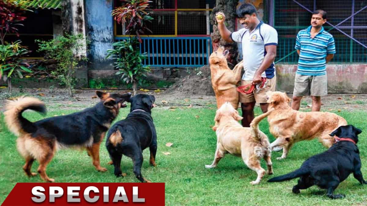Kolkata Police Dog Squad