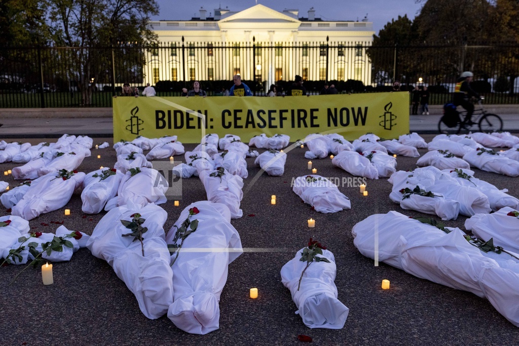 Pro-Palestine Support in USA