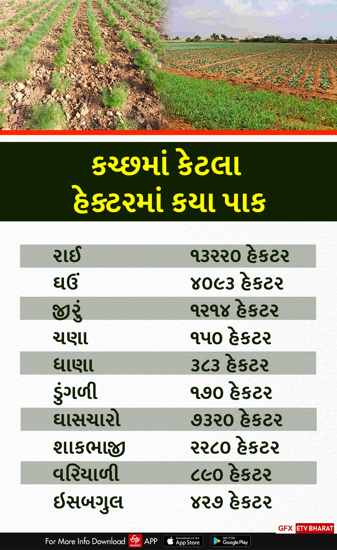 કયા પાકનું કેટલા હેકટરમાં વાવેતર થયું?