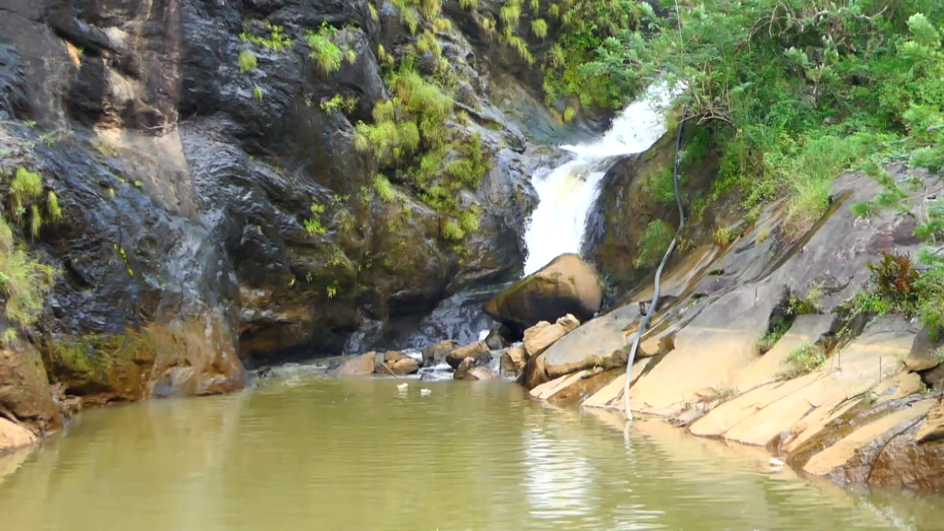 Youth Built Hydel Power Project in Idukki