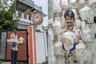 Abhinav Mushroom  Oyster Mushrooms  അഭിനവ് മഷ്റൂം  ചിപ്പി കൂൺ  ചിപ്പി കൂൺ കൃഷി  Oyster Mushrooms cultivation  കൂൺ ബ്രാന്‍റിന്‍റെ ഉടമ  Owner of Mushroom Brand  കൂൺ കൃഷി  Mushroom cultivation