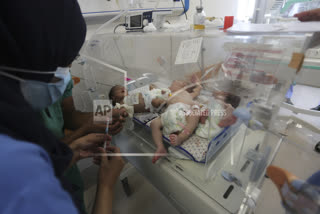 31 premature babies have been evacuated from Al Shifa Hospital