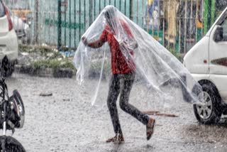 Weather update Kerala  Kerala rain update  Kerala rains  Yellow alert districts Kerala  സംസ്ഥാനത്ത് വരും ദിവസങ്ങളില്‍ പരക്കെ മഴ  കേരളത്തില്‍ മഴ മുന്നറിയിപ്പ്  യെല്ലോ അലര്‍ട്ട്  യെല്ലോ അലര്‍ട്ട് ജില്ലകള്‍  കേന്ദ്ര കാലാവസ്ഥ വകുപ്പ്  ഇടിമന്നല്‍ സാധ്യത കേരളത്തില്‍  കേരള കലാവസ്ഥ വാര്‍ത്തകള്‍