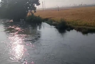 Submerged crop fields near Munagala