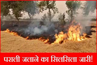 Stubble Burning in Fatehabad