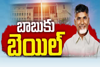 chandrababu bail