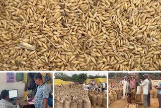 Biometric system necessary in paddy purchase
